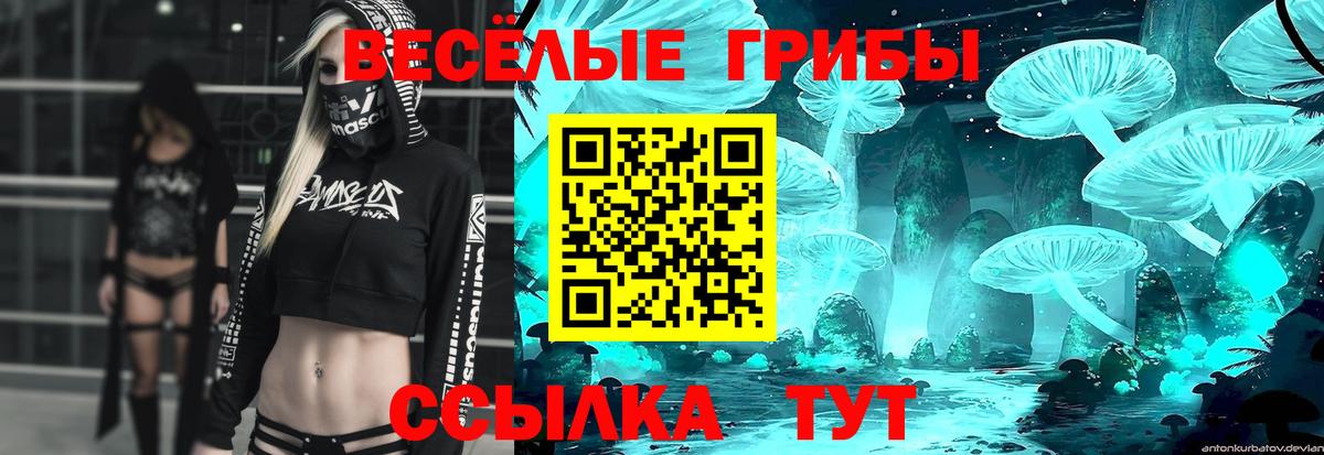 Галлюциногенные грибы Psilocybe Аксай