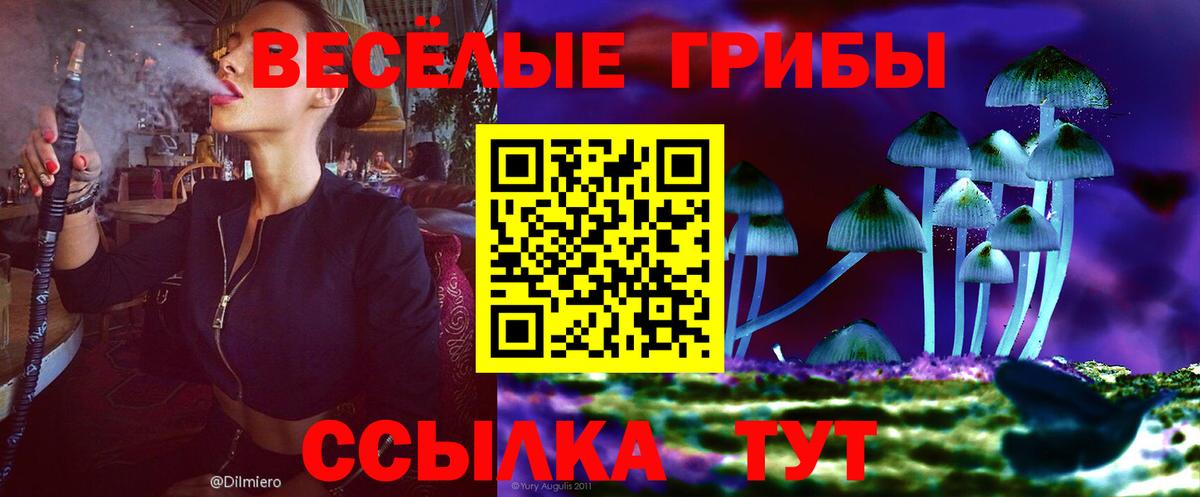 Аксай  Псилоцибиновые грибы Cubensis  хочу наркоту  Вход с VPN 